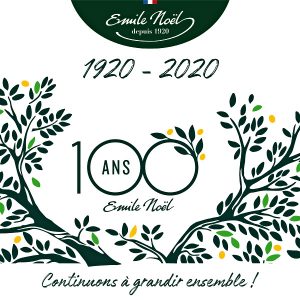 Emile NOËL logo 100 ANS