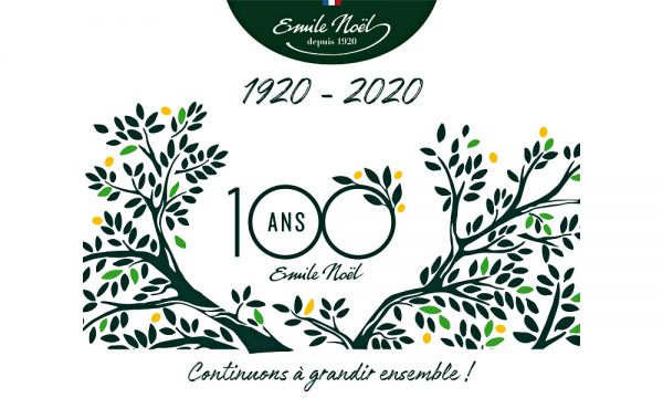 Emile NOËL logo 100 ANS