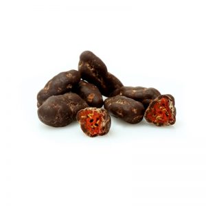 Goji v RAW čokoláde 65 % BIO Cocoa