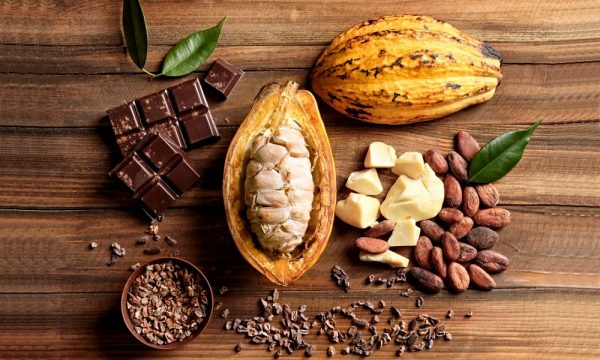 Surové kakao RAW čokoláda Cocoa