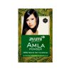 Amla Powder - prírodný vlasový kondicionér 100 g Ayumi Naturals