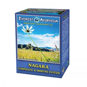 Ajurvédsky čaj NAGARA 100g Everest Ayurveda papierová krabička