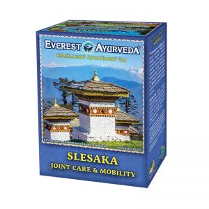 Ajurvédsky čaj SLESAKA 100g Everest Ayurveda papierová krabička