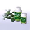 Chlorella japan tablety 750ks, 250sk health link plastová dóza