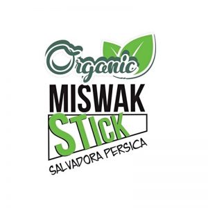 Miswak stick logo