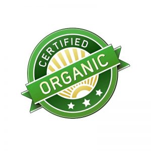 Chicza logo Organic