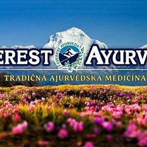 Everest Ayurveda logo kvety