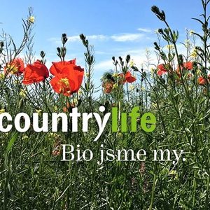 Logo Country Life lúčne kvety