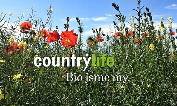 Logo Country Life lúčne kvety